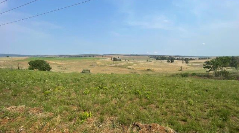 ± 54 Ha Smallholding & Lifestyle Opportunity Property Images
