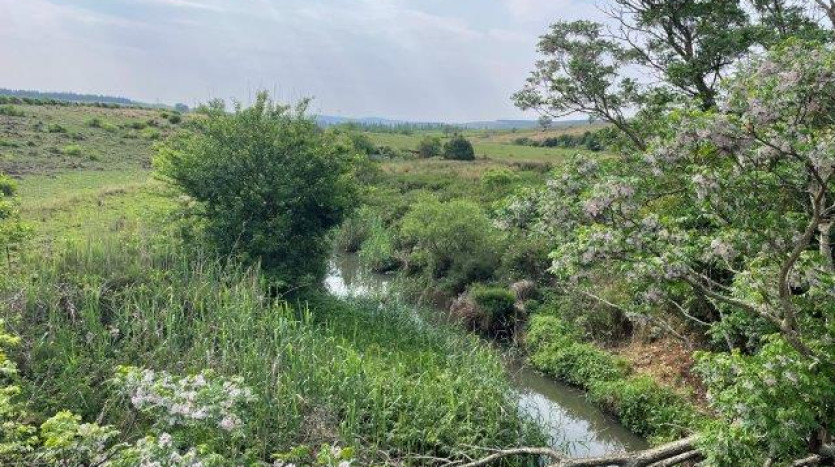 ± 54 Ha Smallholding & Lifestyle Opportunity Property Images