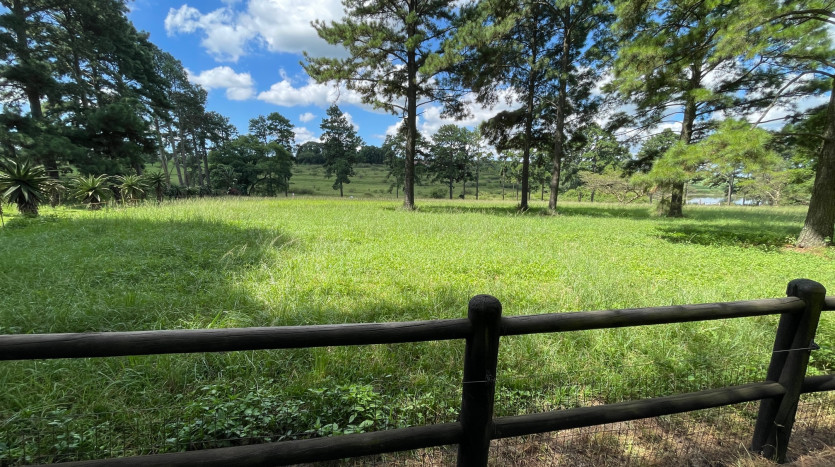 ± 5 HA Umlaas Road Development Property Property Images