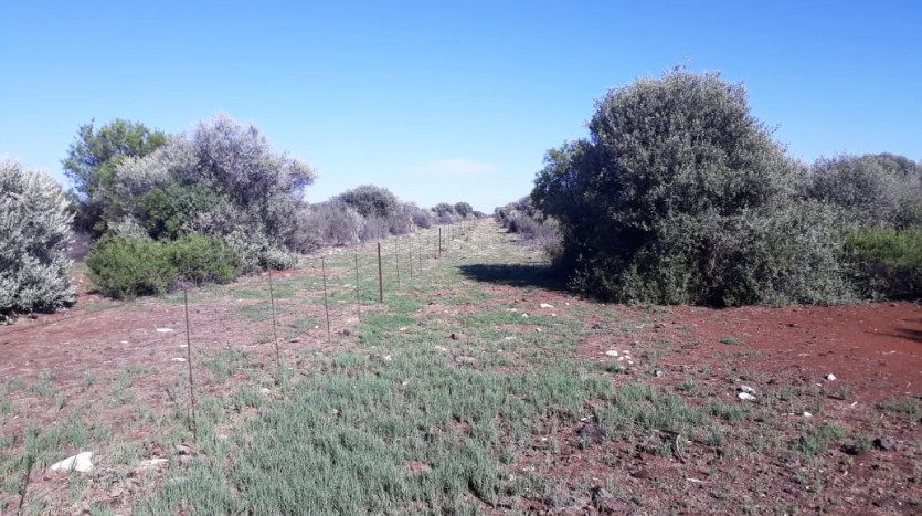 5 X Farms near Barkly West Northern Cape Property Images