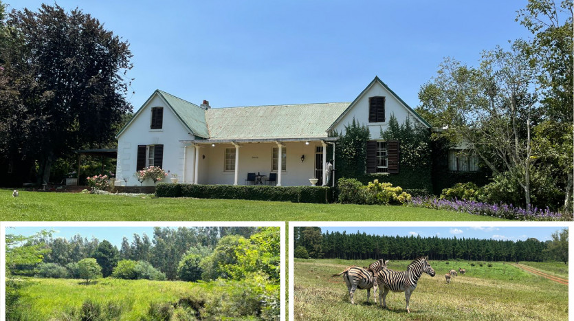 Mixed Farming Unit near Greytown Property Lead Image