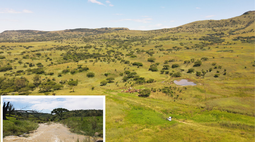 Large Beef Farm near Dundee Property Lead Image