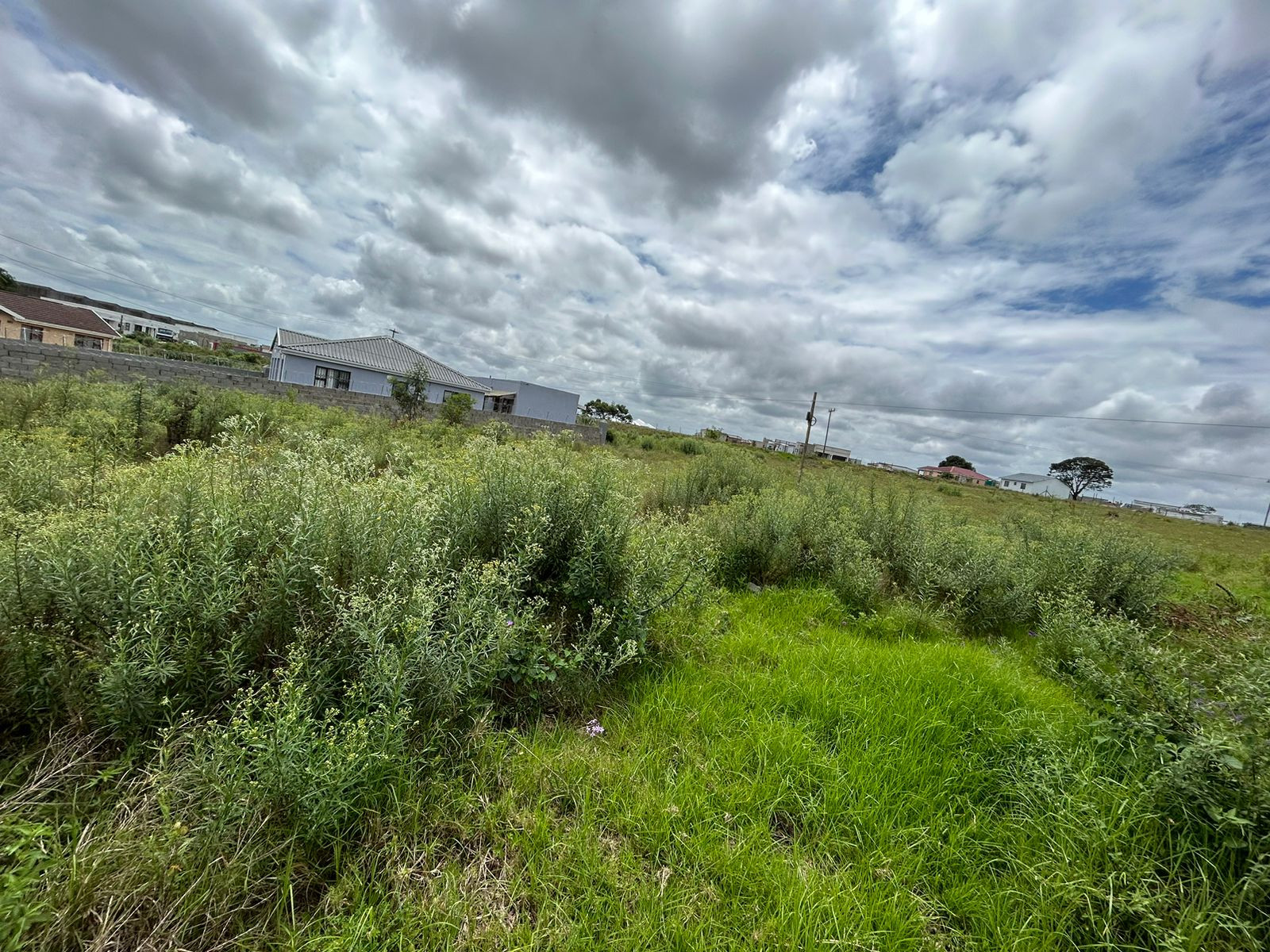 2 x ± 392 m² Vacant Stands in Butterworth