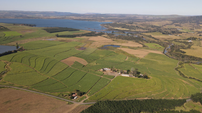 ± 215 Ha Sugarcane Farm Property Lead Image