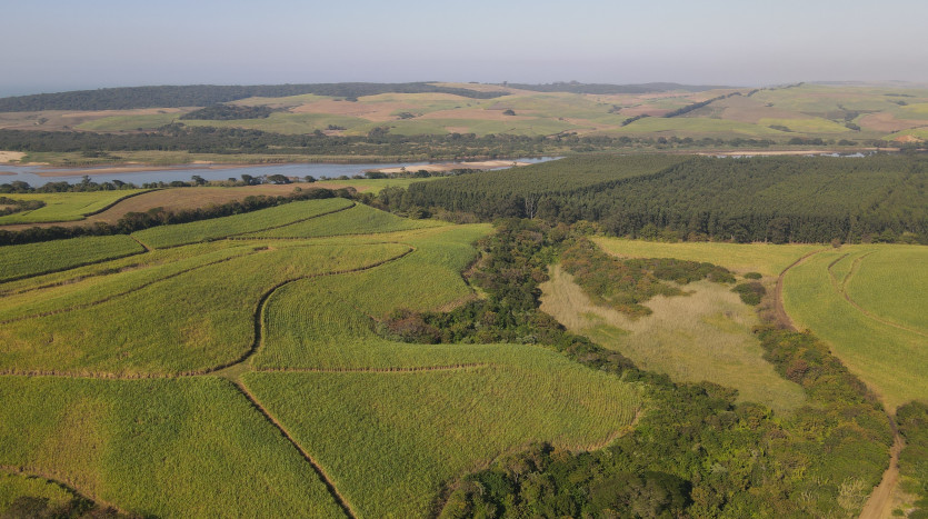 ± 886 HA Sugarcane Farm Property Lead Image