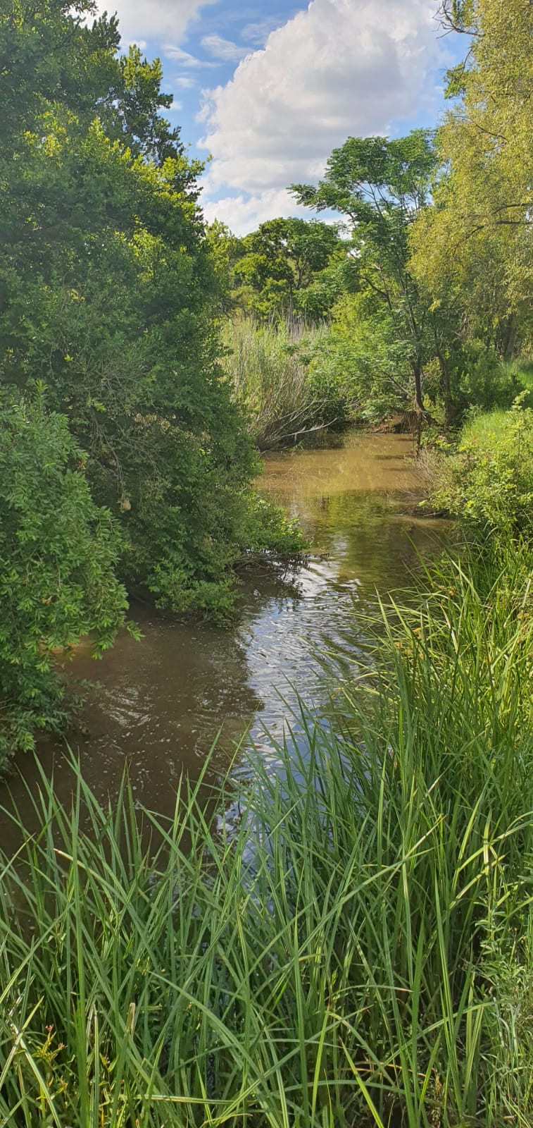 ± 300 Ha Game Farm, Adventure Camp & Training Facility