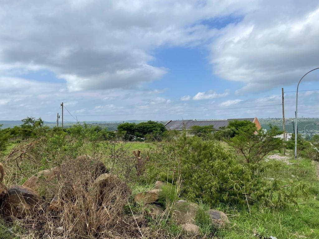 Vacant Land on Joynt Street