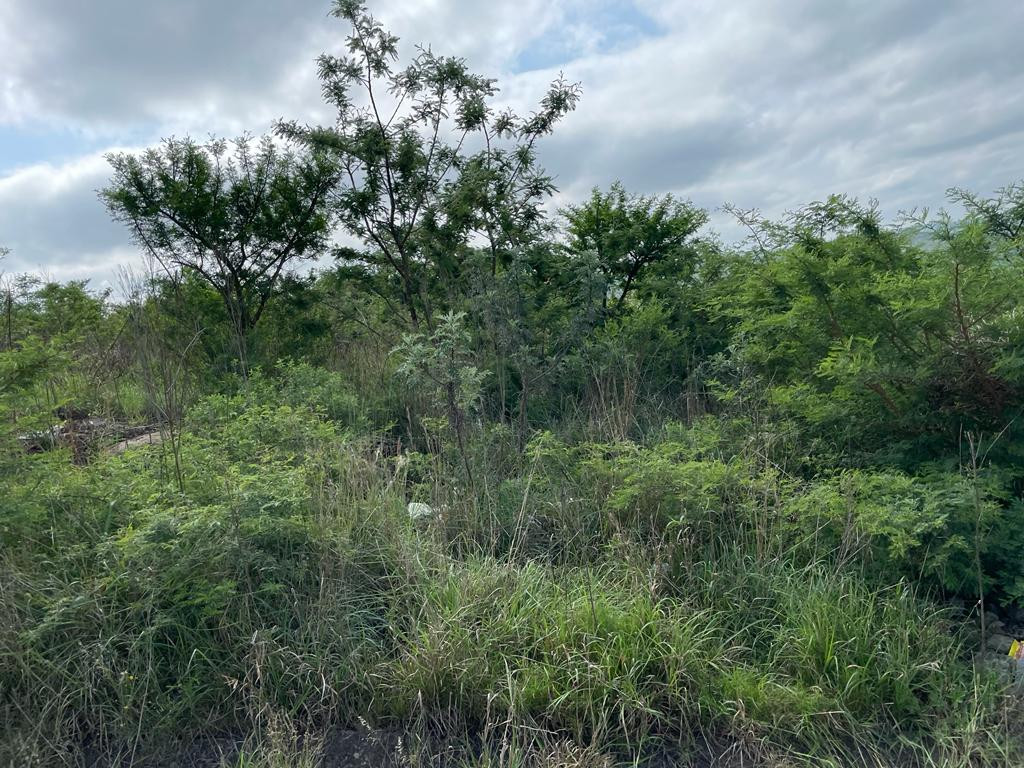 Vacant Land on Joynt Street, Butterworth