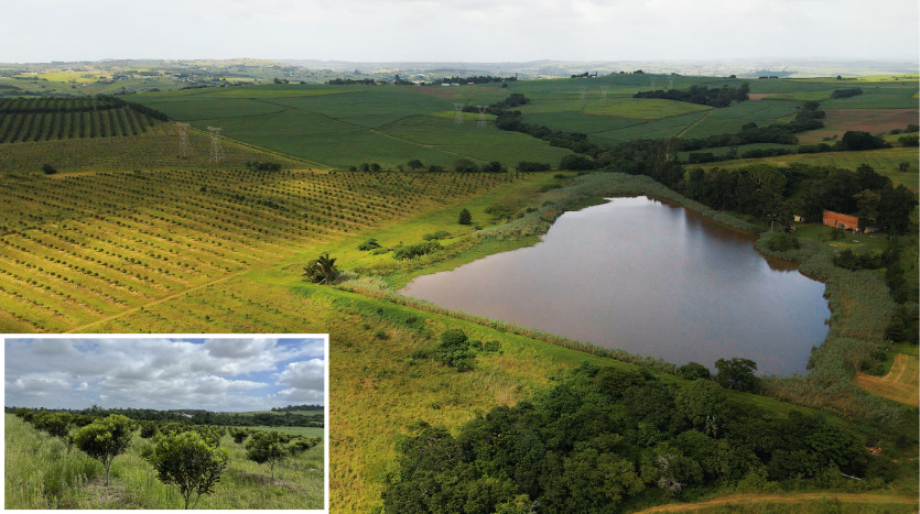North Coast Macadamia Farm Property Lead Image