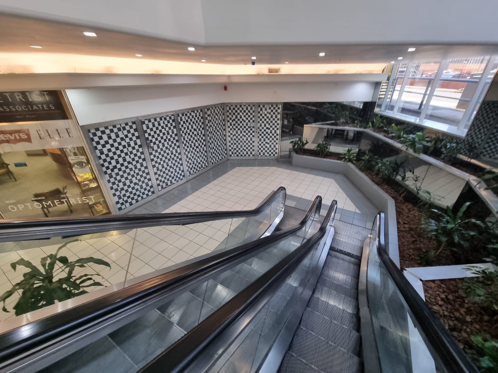 Flagship Commercial Building in Musgrave